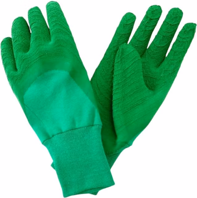 Kent & Stowe Green Ultimate All Round Gloves in Green