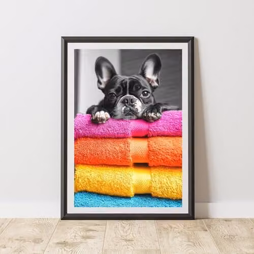 60 Second Makeover French Bulldog Animal Print Paper Poster, Multicolour, W: 21.0 cm, H: 29.7 cm