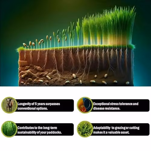 Pegdev PDL Resilient and Versatile High-Yielding Paddock Grass Seed, 500g – 3