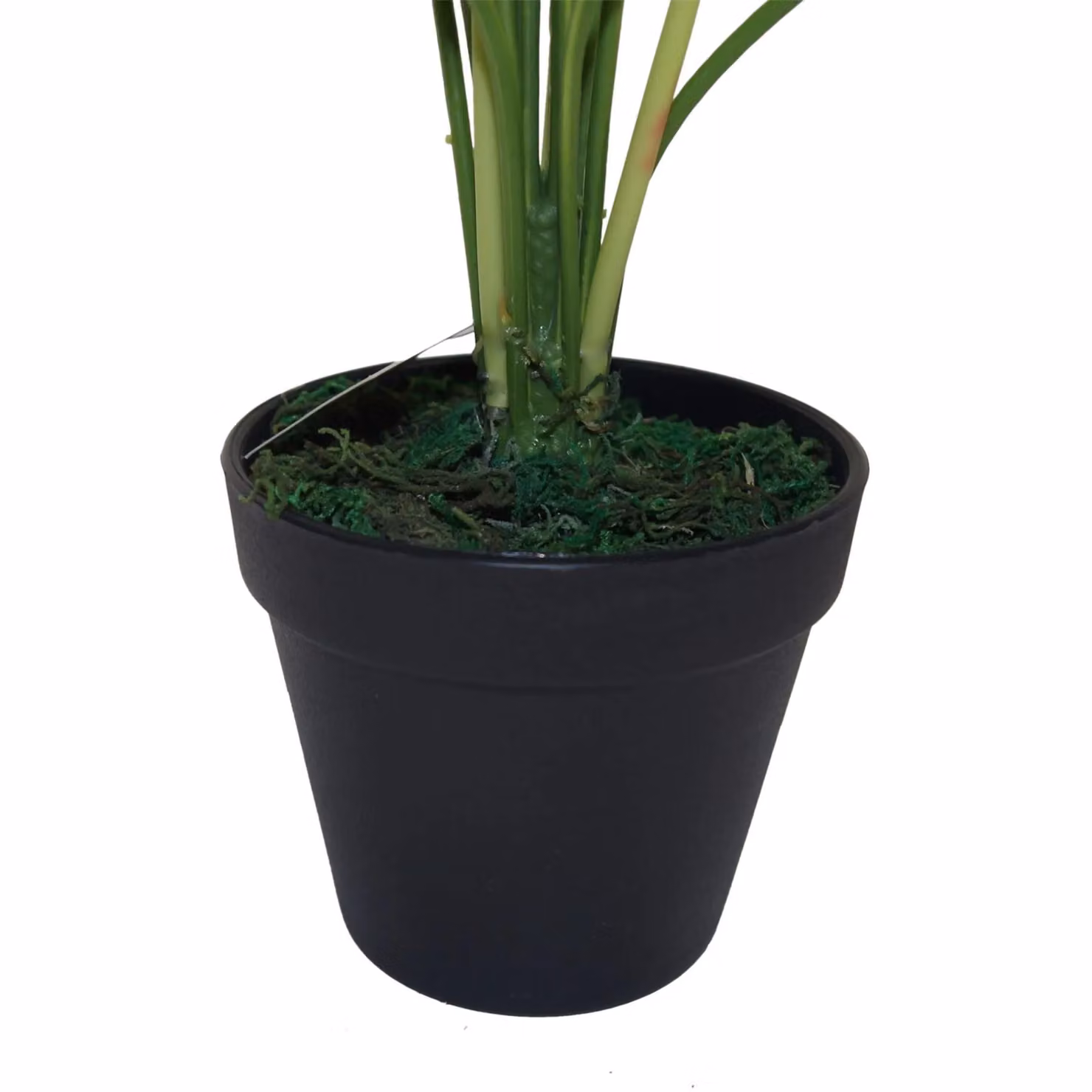 Leaf Design UK Realistic Large Artificial Aralia Foliage Plant in Green with Pot, Height: 60 cm – 5