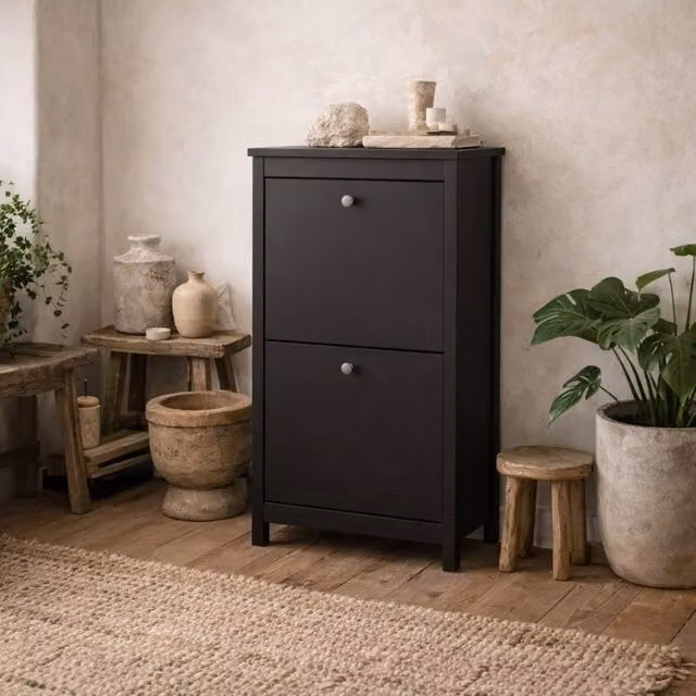Wyld Haus Gossmere Matt Black 2 Door Shoe Cabinet