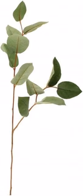 KDMD Green Salal Leaf Spray, 3 Pack, Height: 70 cm