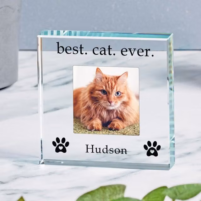 Uniqueful Personalised Best Cat Ever Glass Token for Friends in Transparent and Beige