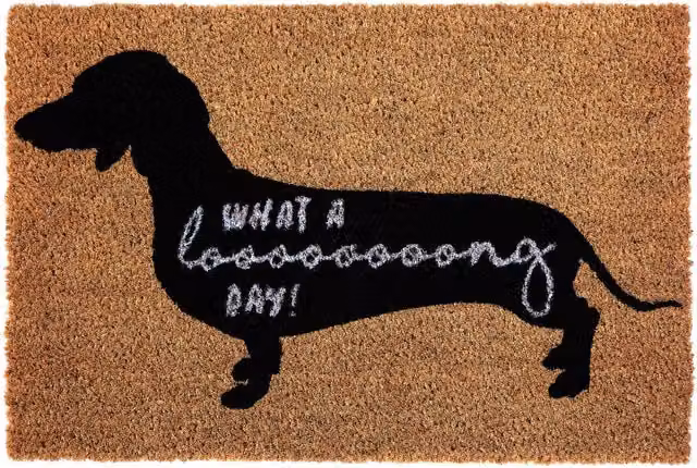 Orsina What A Long Day Sausage Dog Doormat, Humorous Coir and PVC Mat with Dachshund Print, W/D/H: 100 x 60 x 2 cm – 1