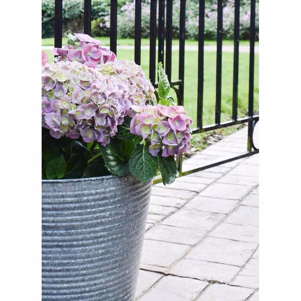 Lemon Pavilion Ribbed Galvanised Steel Vase in Grey, W28 x D28 x H50 cm – 2