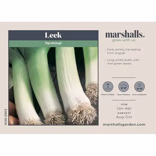 Marshalls Garden Leek Seeds Early and Late Duo Pack, White and Green – 3