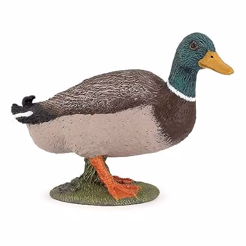Papo Mallard Duck Figurine, Multicolour, Farm Life Collection