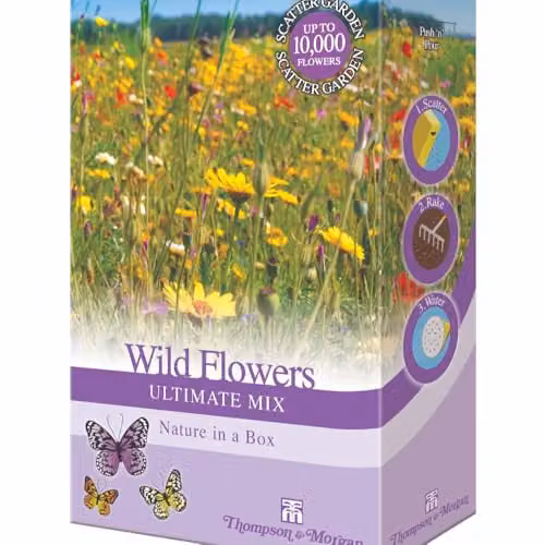 Thompson & Morgan Wild Flower Seed Ultimate Mix, 200g Multicolour Scatter Pack for Ornamental Gardens