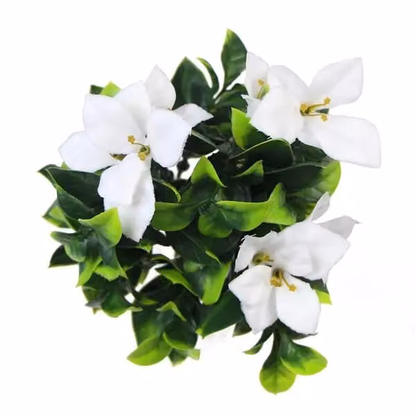 Leaf UK White UV Resistant Artificial Flower Bush, Height: 30 cm – 2