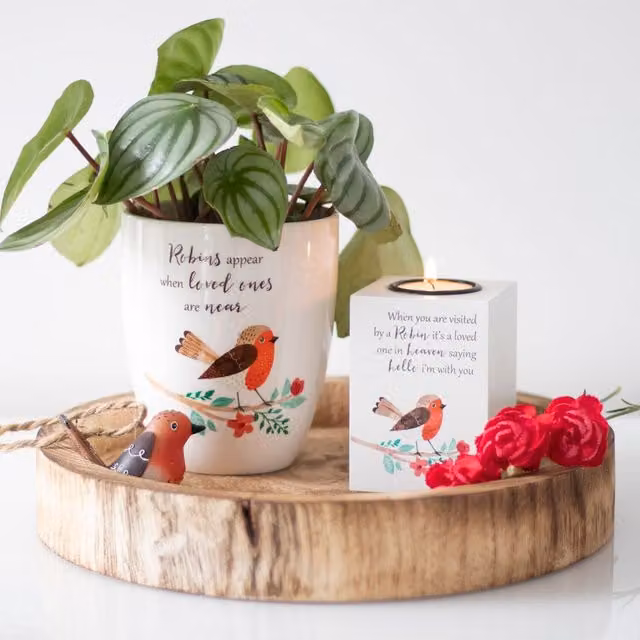 Gloriously Good Round Ceramic Floral Tabletop Plant Pot - White