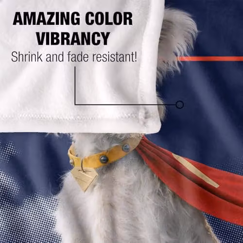 Warner Bros. Superman 2025 Krypto Good Dog Super Soft Fleece Throw Blanket, Multicolour, W: 91 cm, D: 147 cm – 3
