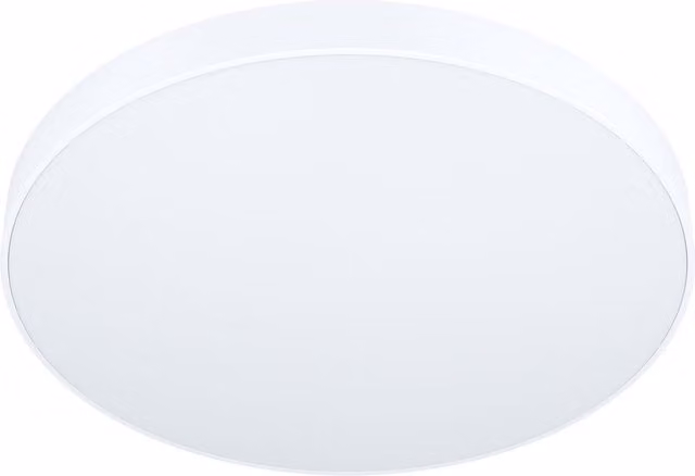 Loops White Flush Ceiling Light with Included 24W LED Bulb