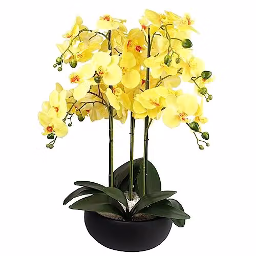 Leaf Design UK Realistic Artificial Yellow Orchid in a Black Ceramic Planter, H 60 cm x W 40 cm x D 40 cm