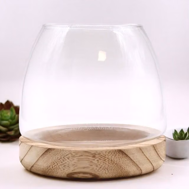 KDMD Medium Transparent Terarium on Natural Brown Tung Wood