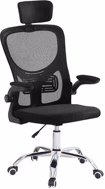 FORGEVIO Black Mesh Task Chair with Headrest and Armrests for Home Office – 1
