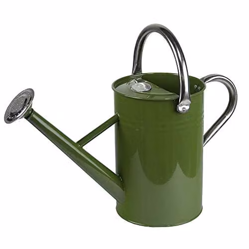 Kent & Stowe Metal Watering Can in Green with Rose, 4.5 Litre