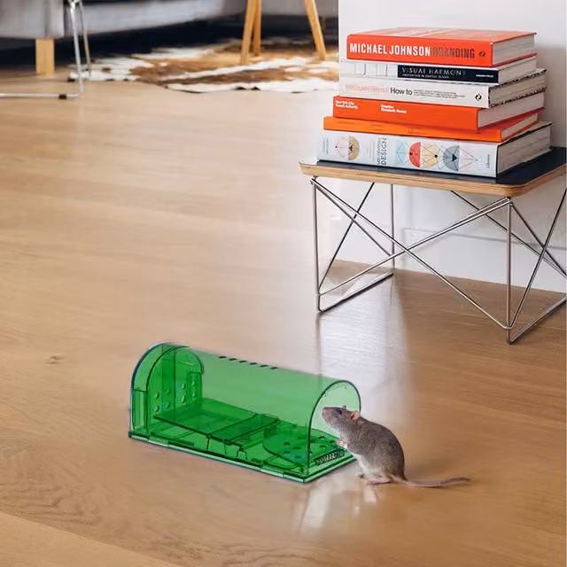 Livingandhome Set of Humane Mouse Trap Cages in Green and Transparent
