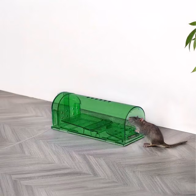 Komore 4 Pack Transparent Humane Mouse Traps in Green