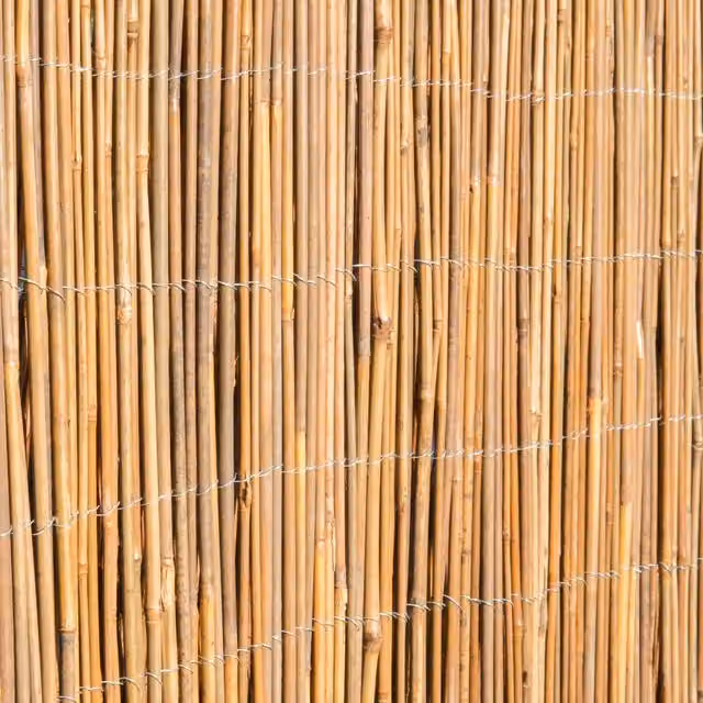 Primrose Brown Bamboo Slat Natural Garden Screening Roll, Height: 180 cm