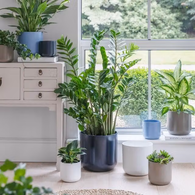 Ivyline Lisbon Ceramic Planter in French Navy, H: 26 cm, D: 26 cm