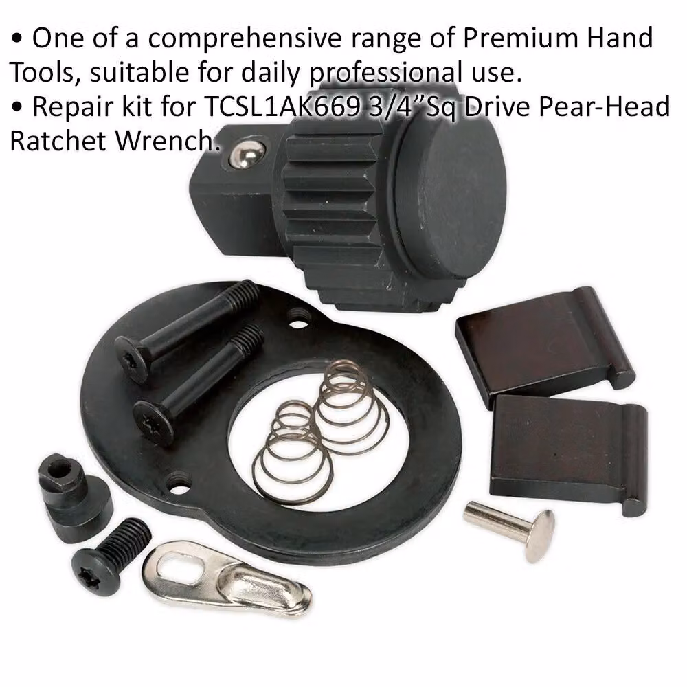 Loops 3/4 Inch Sq Drive Repair Kit for ys01613 24-Tooth Ratchet Wrench in Black and Multicolour – 2