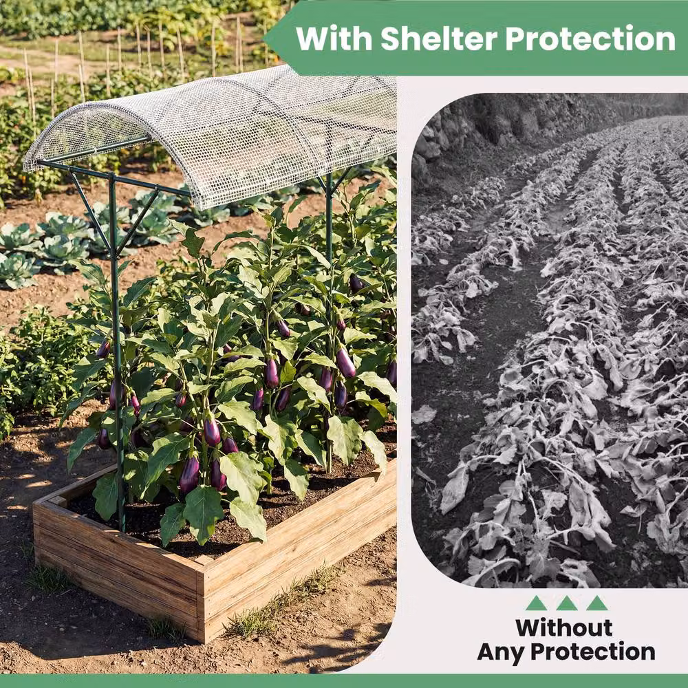 Gymax White Tomato Stand and Climbing Vegetable Shelter with Canopy – 4