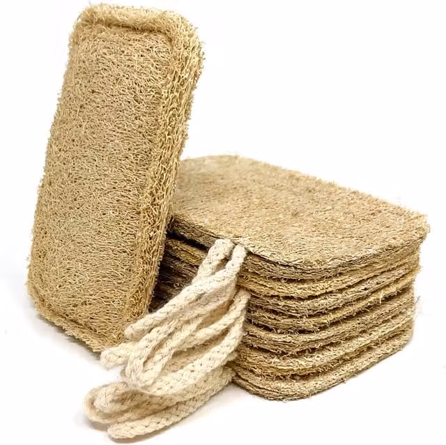 Joeji's Kitchen Loofah Eco Dishwasher Sponges, 8 Pack, Beige – 1