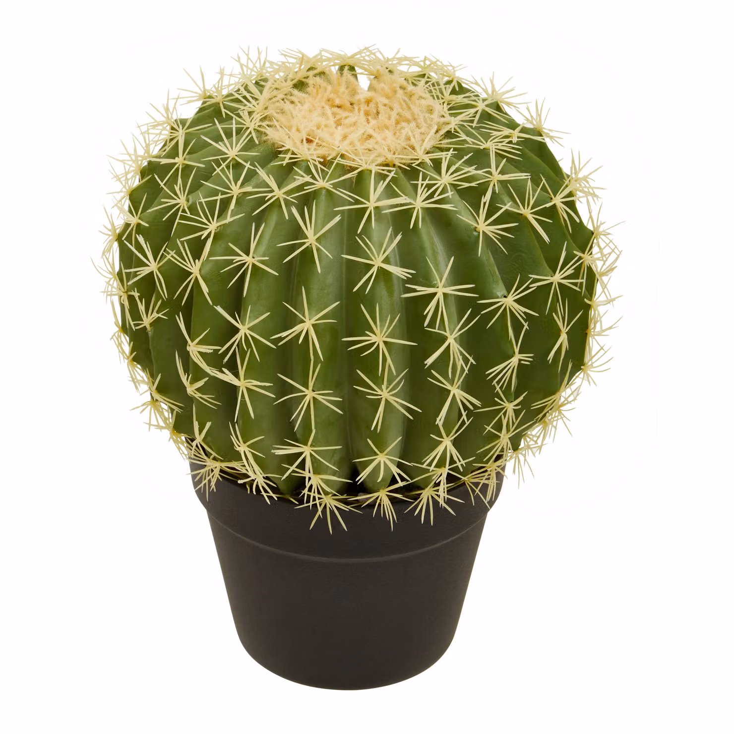 Orsina Fiori Green Artificial Round Cactus in Black Plastic Pot – 2