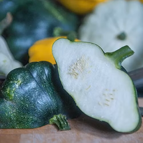 Thompson and Morgan Patty Pan Squash Summer Mix F1 Hybrid Cucurbita Pepo Vegetable Seeds, Approx. 6 Seeds – 4