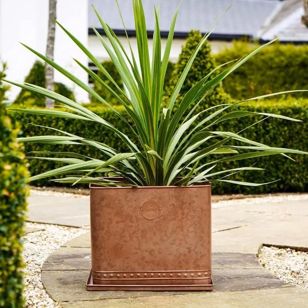 Royal Botanic Gardens Kew Regency Outdoor Planter, Aged Copper Bronze Galvanised Steel, Diameter: 38 cm – 5