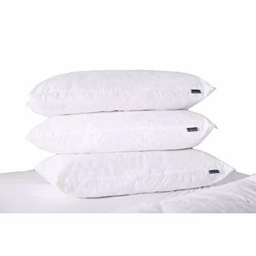 Belledorm New Wool Pillow, White, W: 74 cm, D: 48 cm