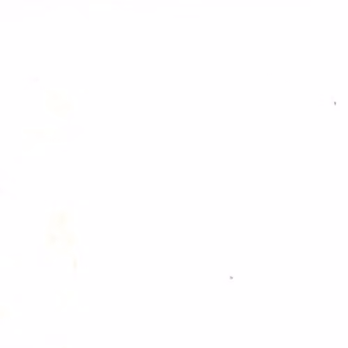 Mega Flooring UK White Plain Effect Anti-Slip Vinyl Flooring, 2.0mm Thick, W 300 cm x D 300 cm