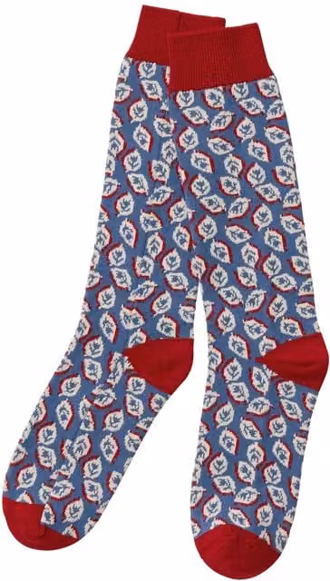 Land & Shore Seedling Socks in Blue and Red