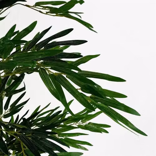 Leaf Design UK Green Artificial Bamboo Tree, Height: 150 cm, Width: 60 cm, Depth: 60 cm – 4