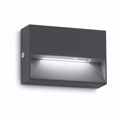 Netlighting Dedra Rectangular LED Outdoor Flush Wall Lamp in Anthracite Black, 160Lm, 3000K, IP65 – 1