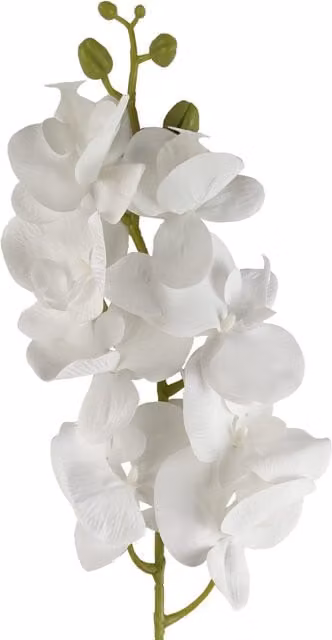 Artificial White Phalaenopsis Orchid Stem Flowers with Leaf Detail