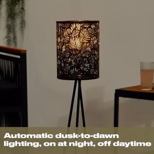 OHS Black Metal Solar Floor Lamp with Dusk Sensor for Garden and Terrace – 8