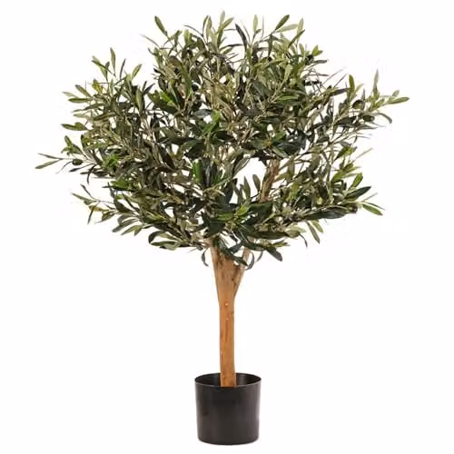 Leaf Design UK Green Artificial Olive Tree in a Black Plastic Pot, H 90 cm x W 50 cm x D 50 cm – 2