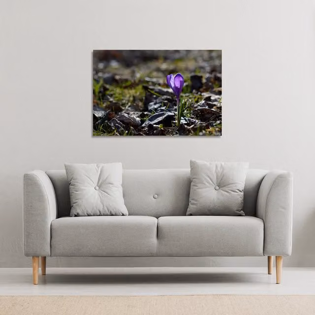 Benjamin Tate Design LTD Autumn Flower Bloom in Nature Canvas Print, Purple, W: 61 cm, H: 41 cm