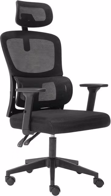 Nordara Ergonomic Mesh Office Chair in Black with Headrest and 3D Armrests, H 100 cm x W 60 cm x D 60 cm