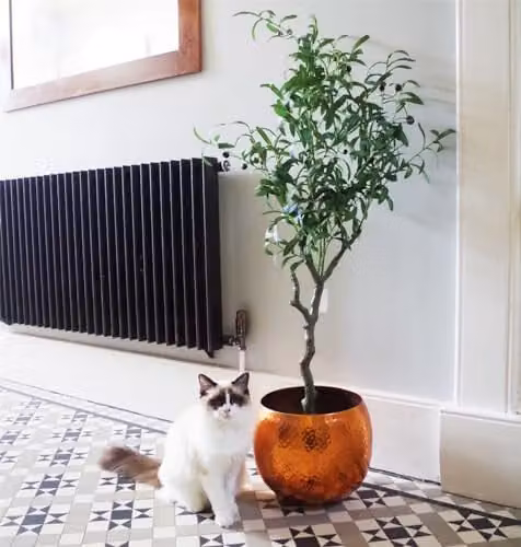 Leaf Artificial Olive Tree in Green, Height: 120 cm – 1