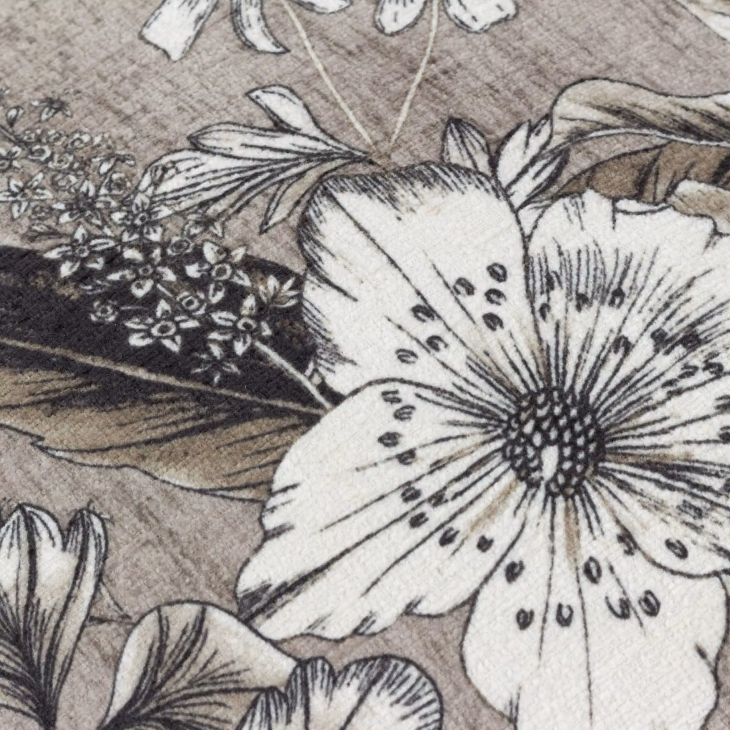 Wylder Harlington Nature Botany Floral Velvet Square Cushion in Beige, W/D/H: 50 x 50 x 50 cm – 4