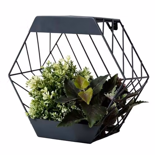 Gardenwize Black Metal Hexagon Solar Wall Planter with Warm White LED, W/D/H: 29.0 x 24.5 x 24.5 cm