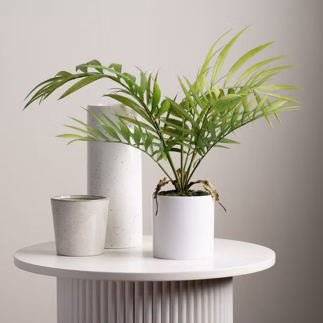 Scottish Everlastings Ltd Green Fern Tree in a White Plastic Pot, Height: 40 cm