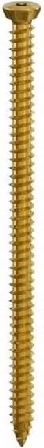 Securfix Gold Galvanised Concrete Countersunk Torx Frame Screws, Pack of 100