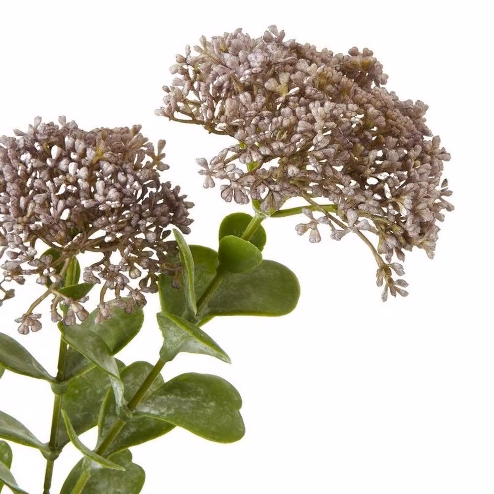 Lemon Pavilion Furniture and Decor Purple and Green Sedum Succulent Spray, Height: 58 cm – 2
