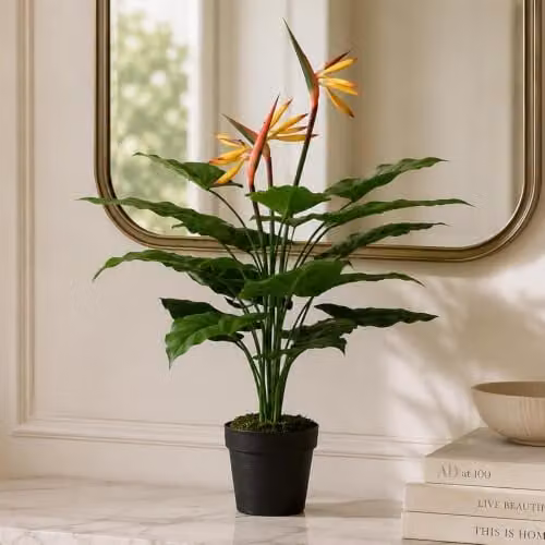 Leaf Design UK Artificial Bird of Paradise Strelitzia Plant in Green and Orange, Height: 70 cm – 2