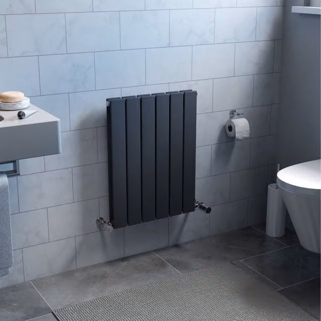 Agadon Vertical Duplex Flat Panel Designer Radiator in Anthracite Grey, W: 60 cm, D: 44.5 cm