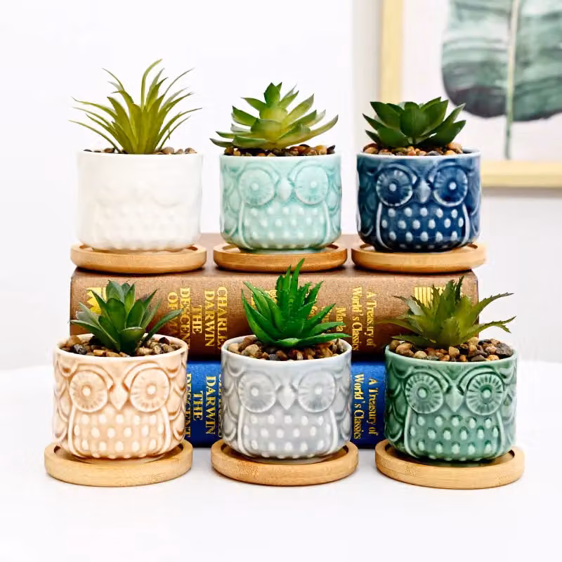 Simpa 6-Piece Multicolour Glazed Owl Ceramic Plant Pots with Bamboo Base – 2