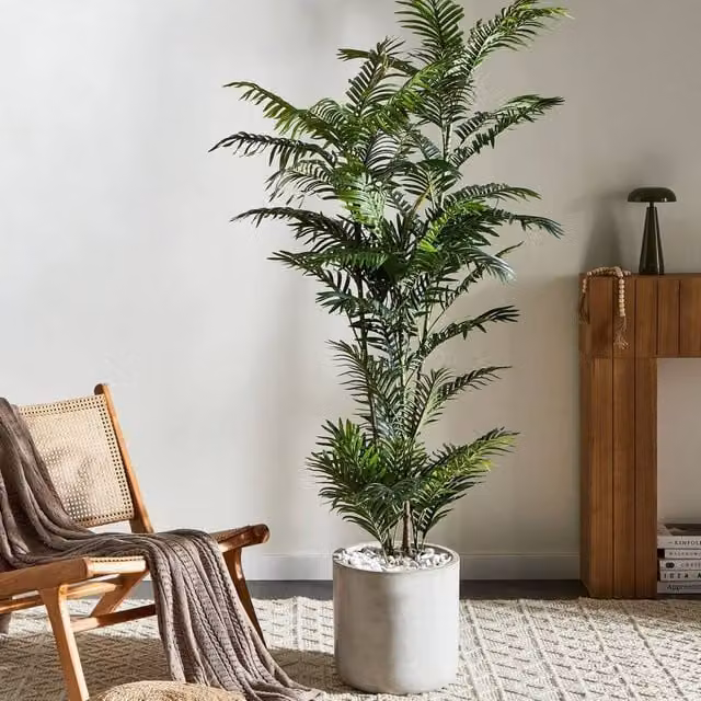 Wyld and Coco 180cm Green Artificial Potted Fan Palm